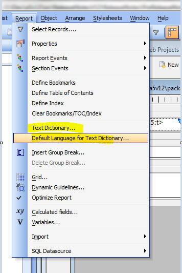 Report Textdictionary1